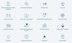 Grid of 12 business sustainability category icons arranged in 4 rows and 3 columns, including Business Strategy & Competitive Advantages, Capital & Risk Management, Climate Strategy, Community, Customer Experience, Data Privacy & Cybersecurity, Disaster Preparedness & Response, Diversity & Inclusion, Eco-Efficient Operations, Ethics & Responsible Business Practices, Governance Practices, Human Capital Management, Innovation, Investment Management, Public Policy, and Safety & Health. Each category is represented by a simple blue line-art icon with descriptive text labels.